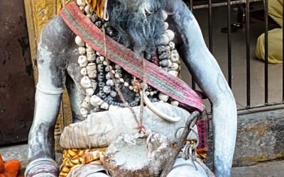 Celebrating the Divine Month of Shravan Across the Twelve Jyotirlingas